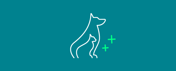 Découvrez notre assurance chien / chat